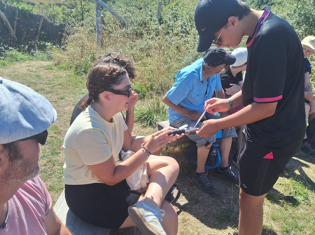 Terre de Sel-Guerande必去景点