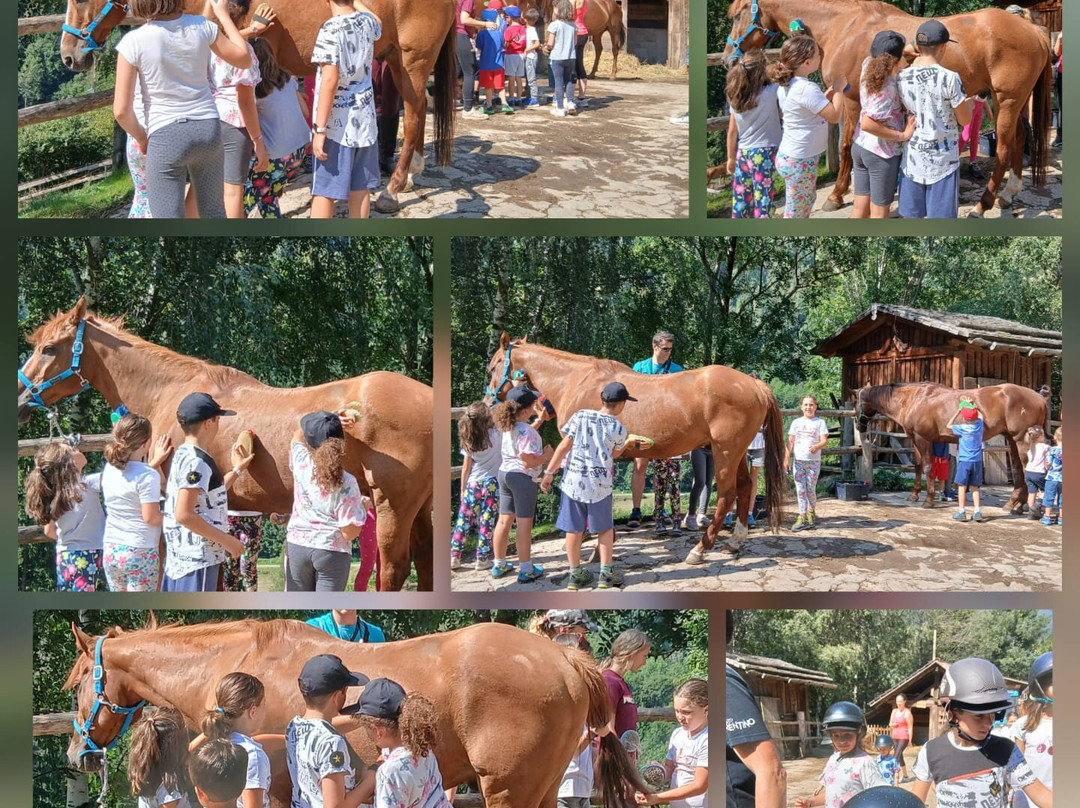 Fede Ranch-Peio必去景点