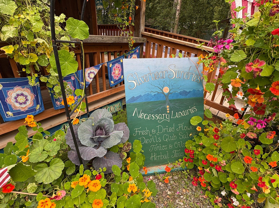 Silverbear Sundries & Denali Hemp Company-塔尔基特纳必去景点