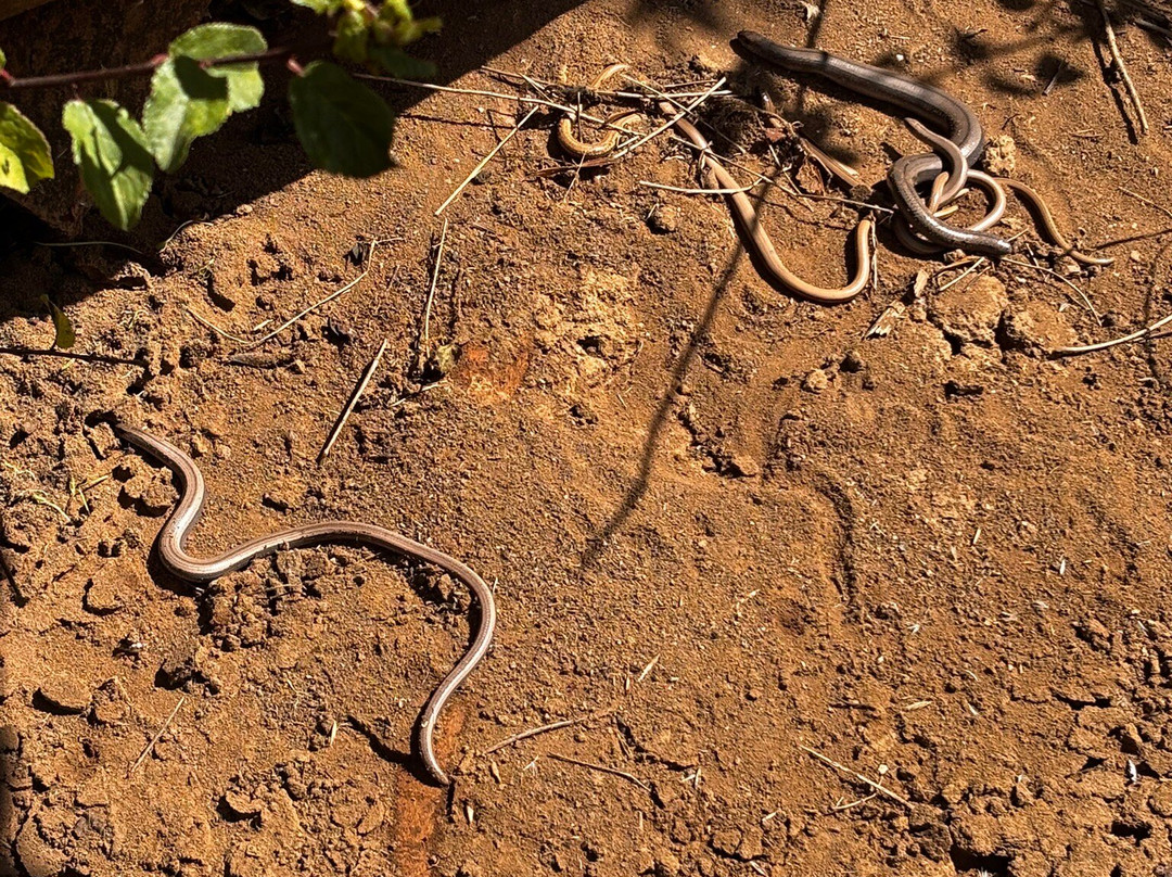 Singleton Environment Centre-阿什福德必去景点