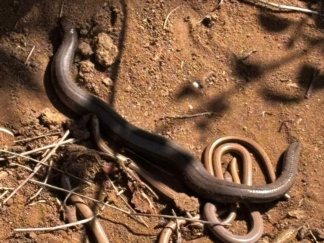 Singleton Environment Centre-阿什福德必去景点