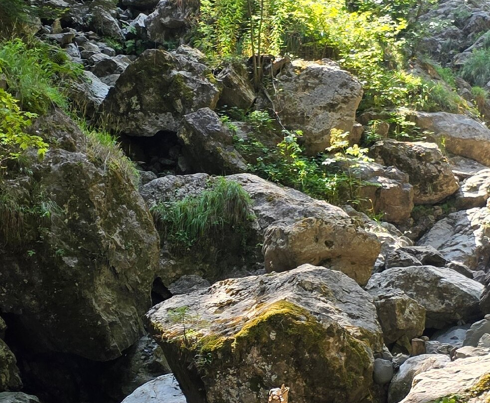 La Cascade Du Nant D'ant-Samoens必去景点
