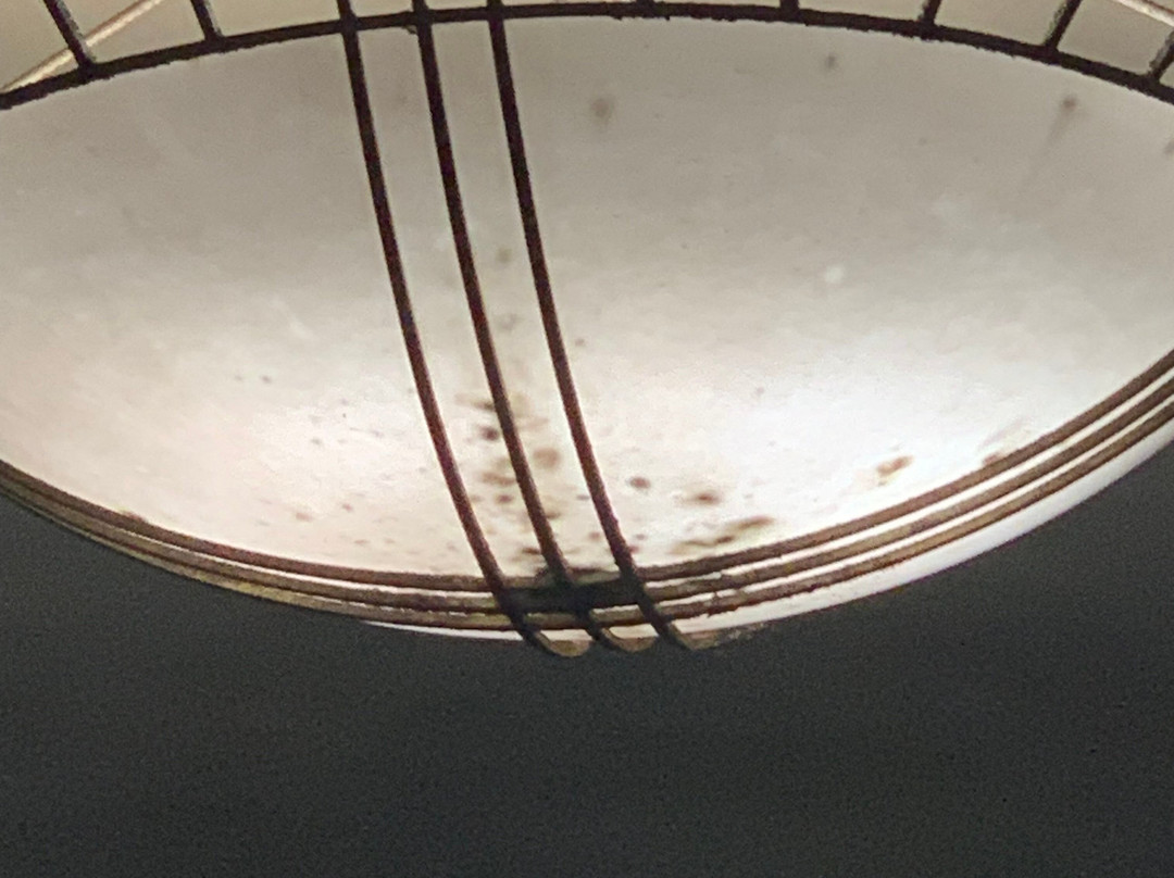 Skyline Hotel Detroit Airport, Surestay Collection By BW主图