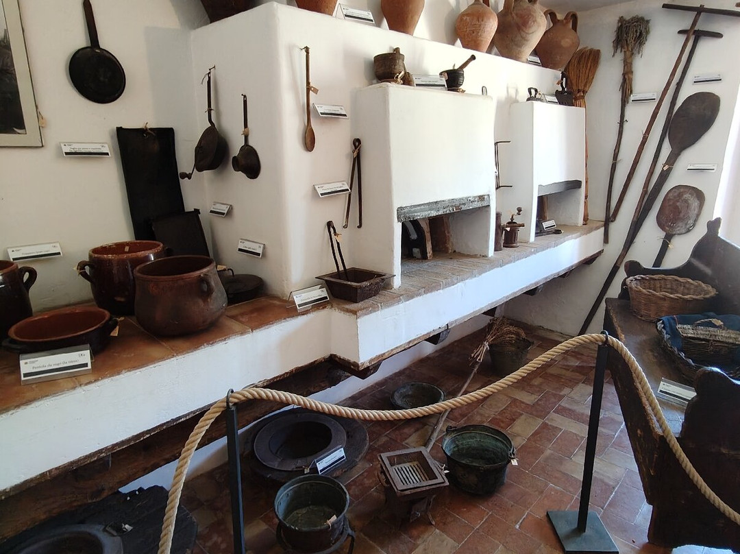 Museo Della Civilta Contadina E dell'Ulivo-Pastena必去景点