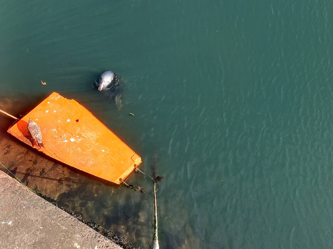 Gunsgreen House-Eyemouth必去景点