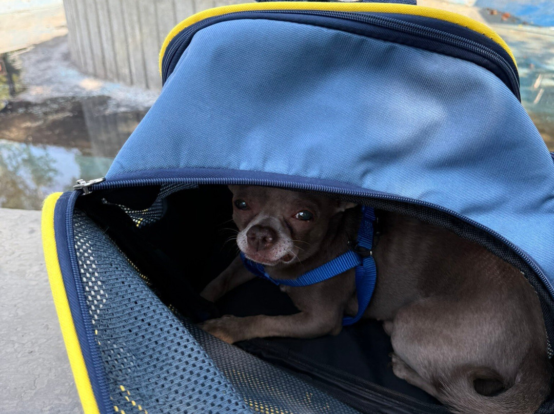 Klada Cafe-Sezze必去景点