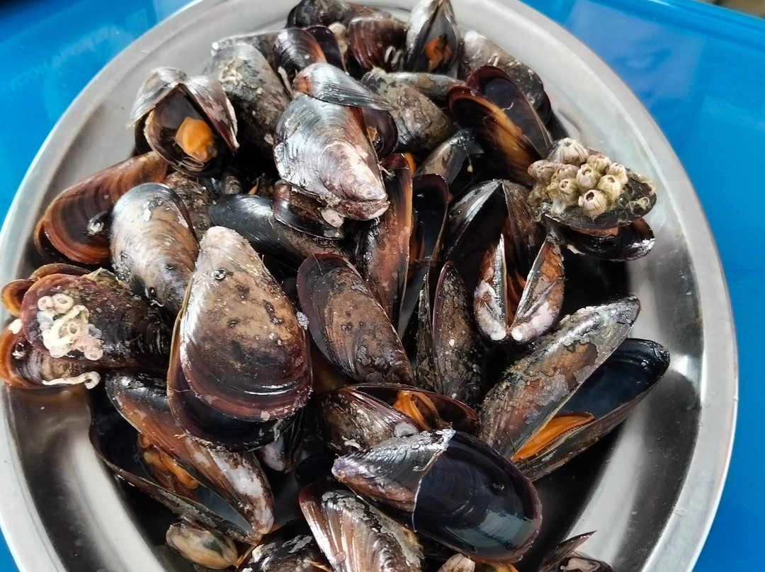 Cruceros de Arosa-格罗韦必去景点