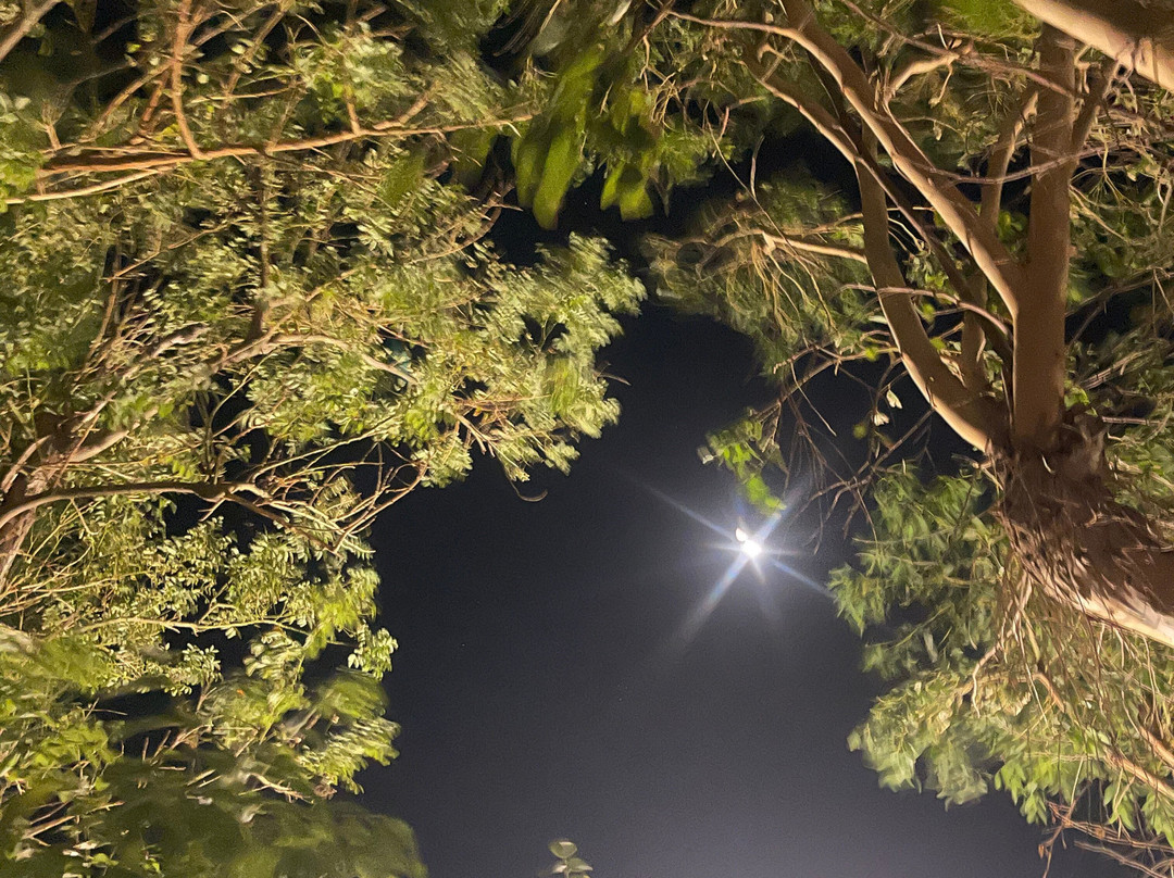 IOS Paleochora主图