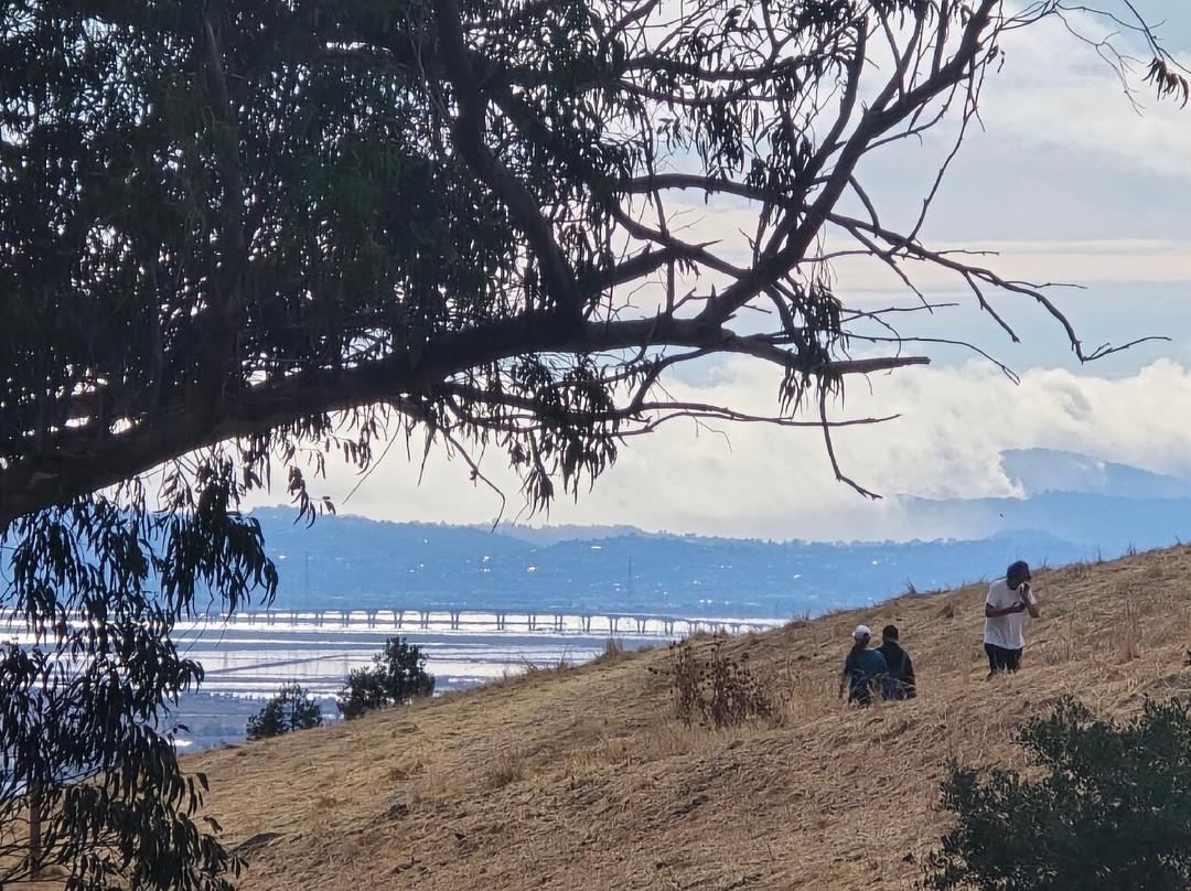 Mission Peak Regional Preserve-费利蒙必去景点