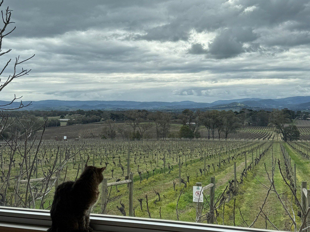 Yarra Yering-Gruyere必去景点