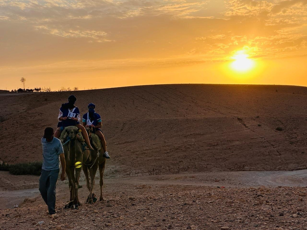 Atlas Holiday Morocco-马拉喀什必去景点