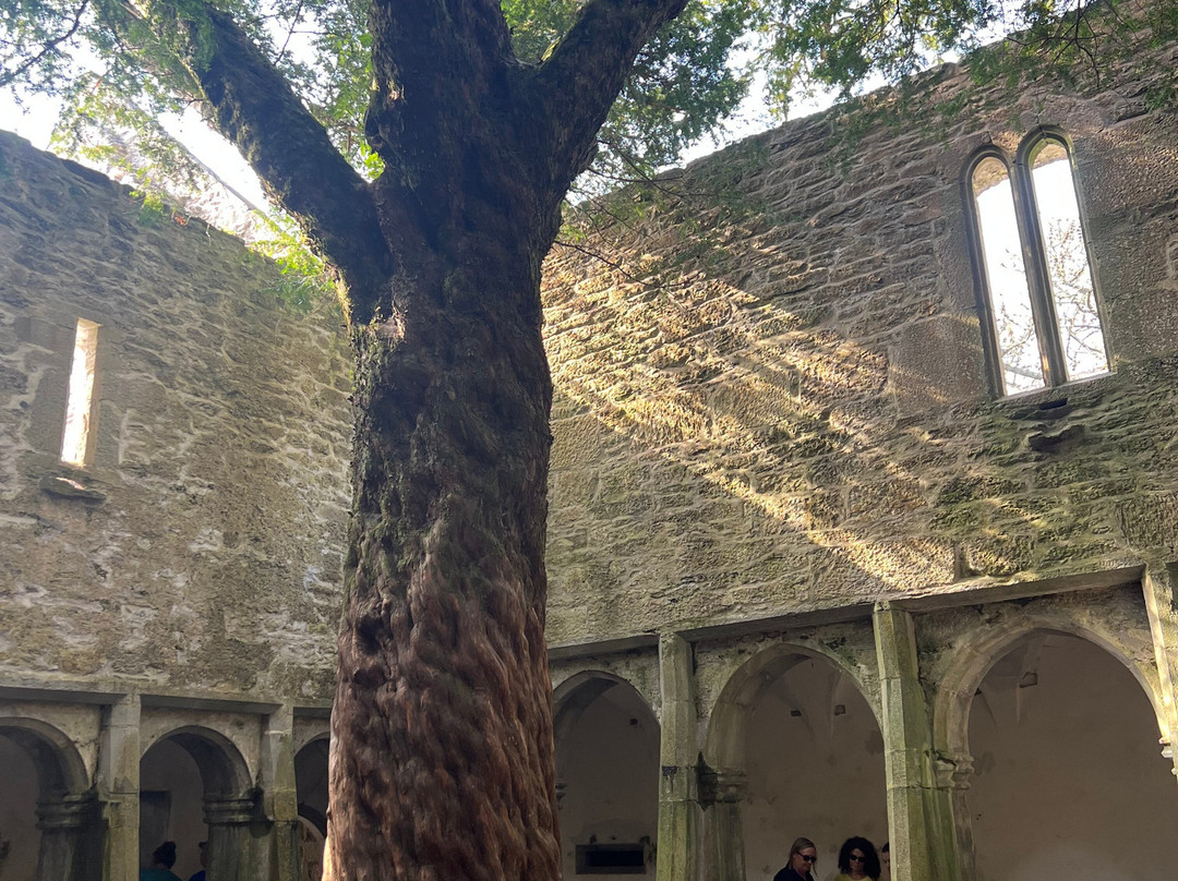 Guided Tours With Mary G-基拉尼必去景点