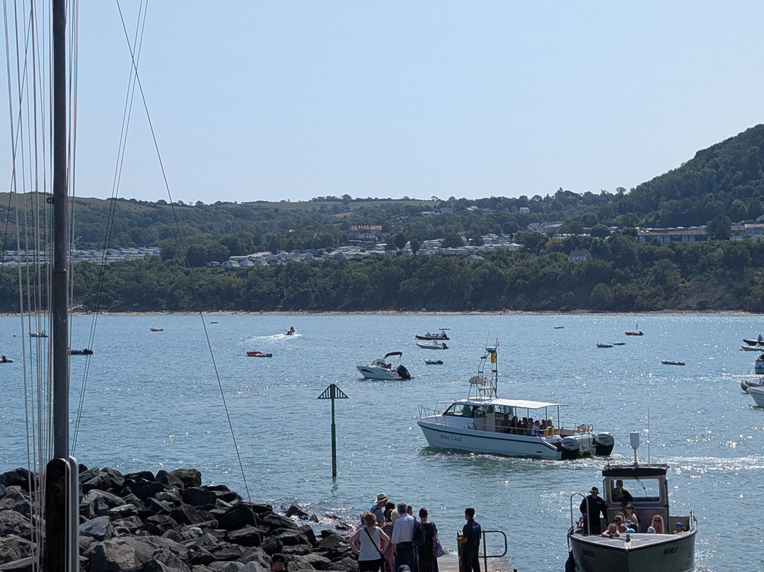 Dolphin Survey Boat Trips-纽基必去景点