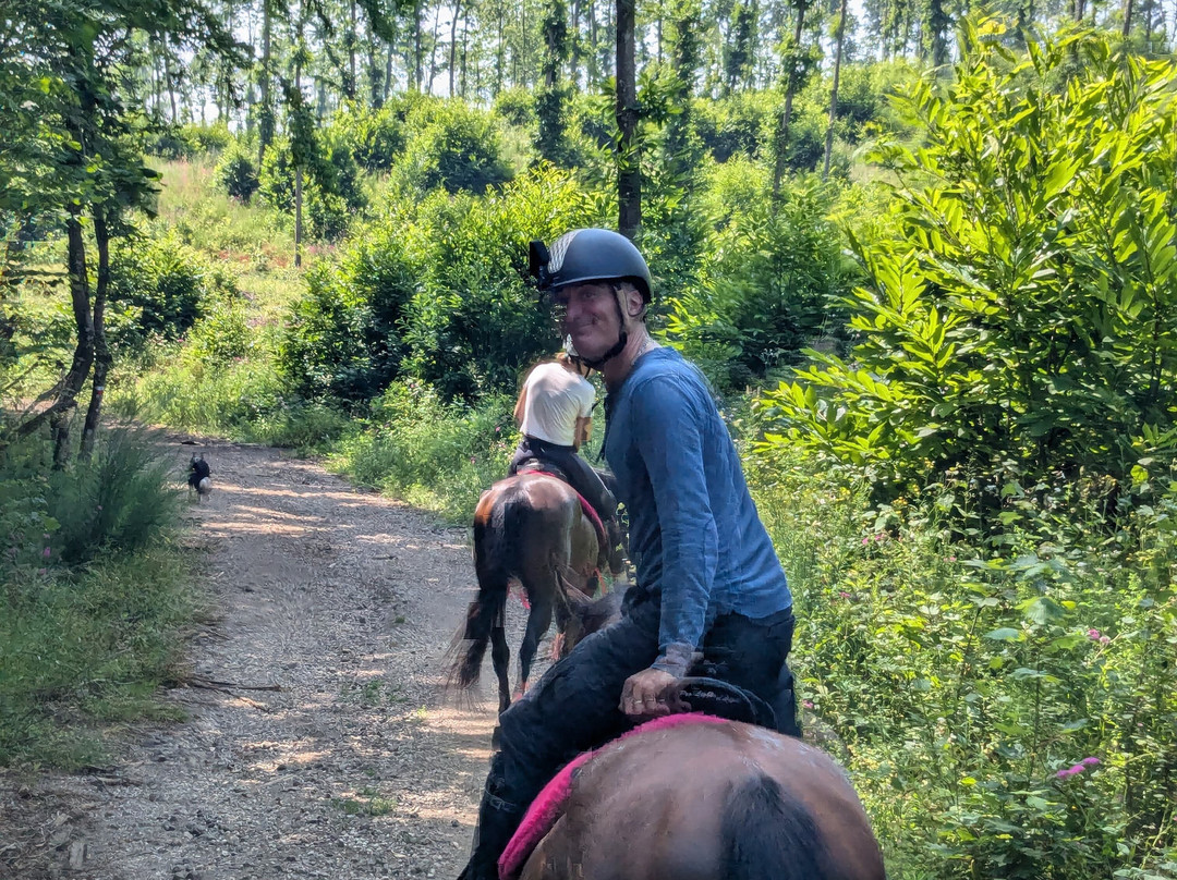 The Fairy Ranch-Rocca di Papa必去景点