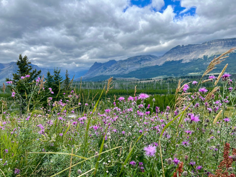 Sun Tours-冰河国家公园必去景点