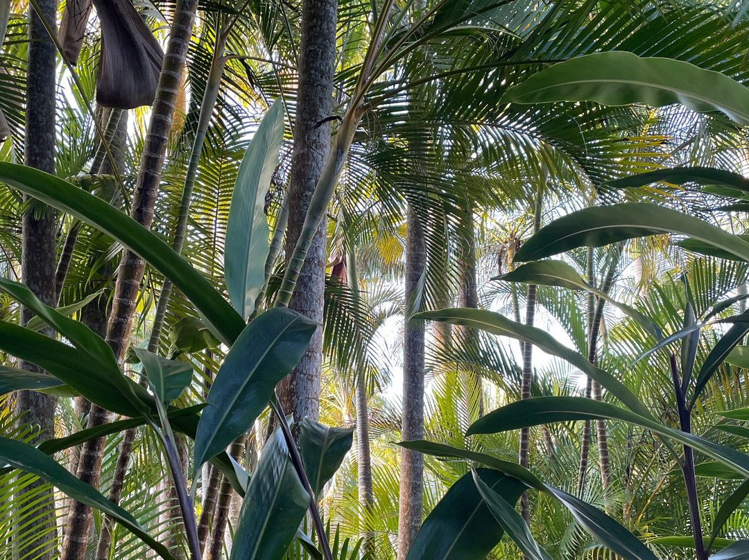 Victoria's At Ewingsdale主图