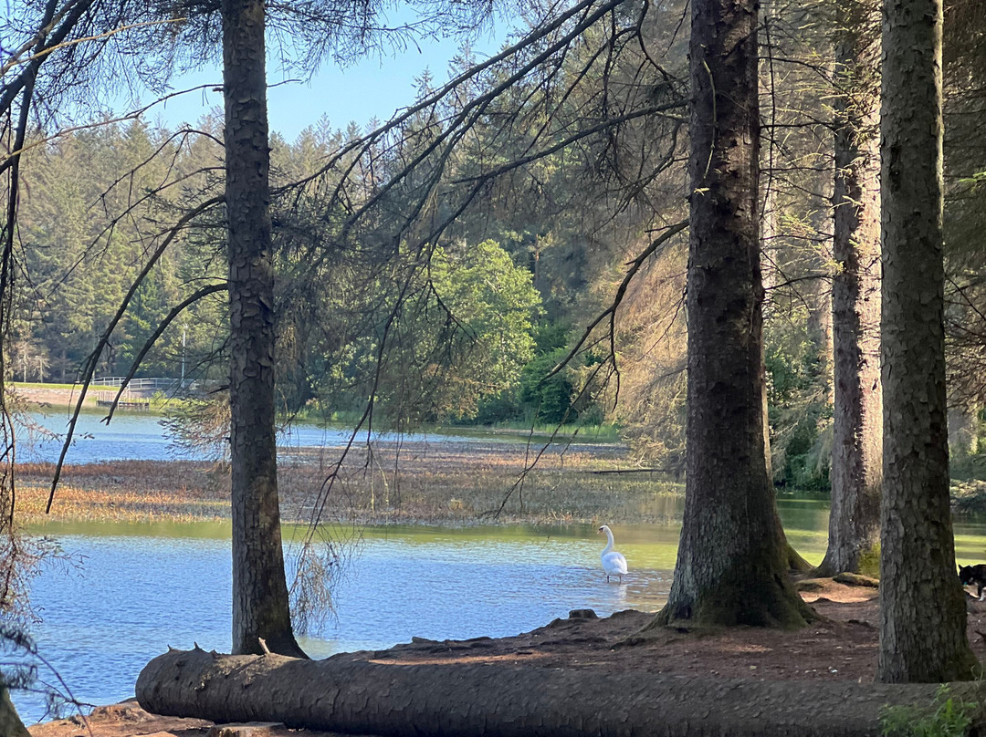 Beecraigs Country Park-林利斯戈必去景点