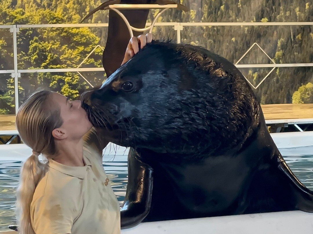 Safari Park-Pombia必去景点