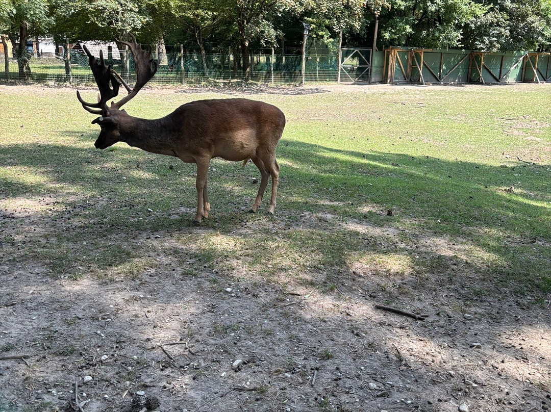 Riserva Naturale Vincheto di Celarda-Celarda必去景点