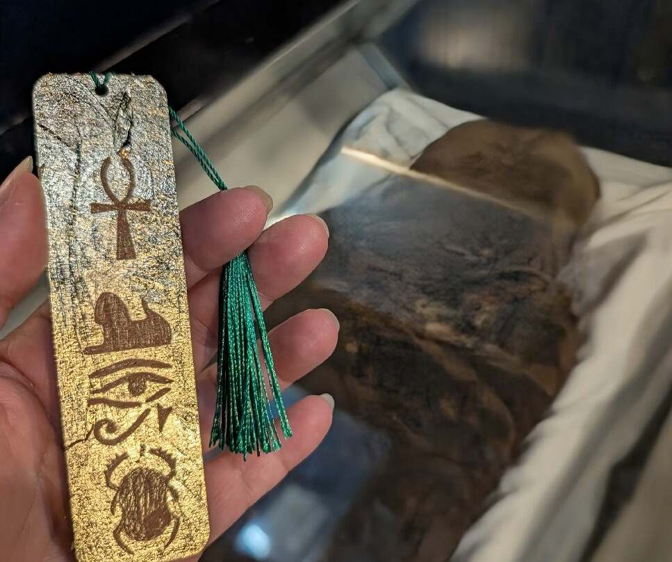 Blackburn Museum & Art Gallery-布莱克本必去景点