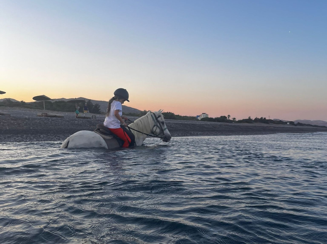 Rocking Horse Ranch-Gennadi必去景点