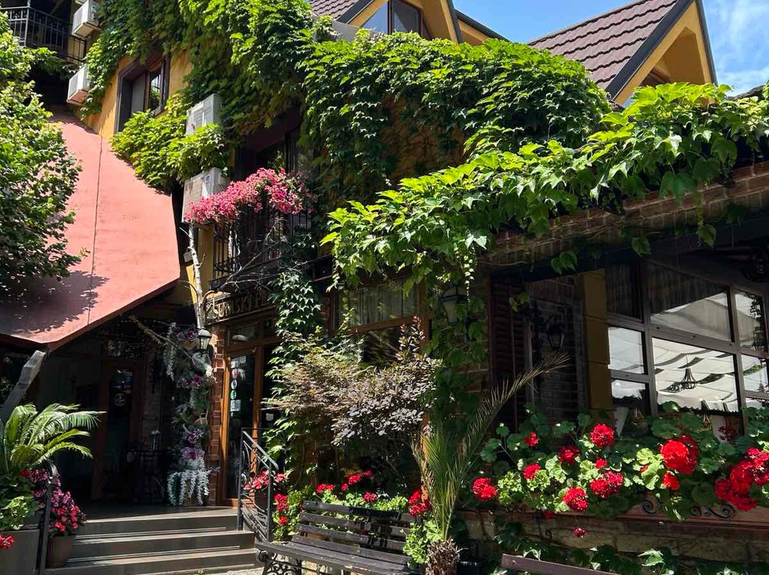 苏牧斯基费讷丽酒店主图