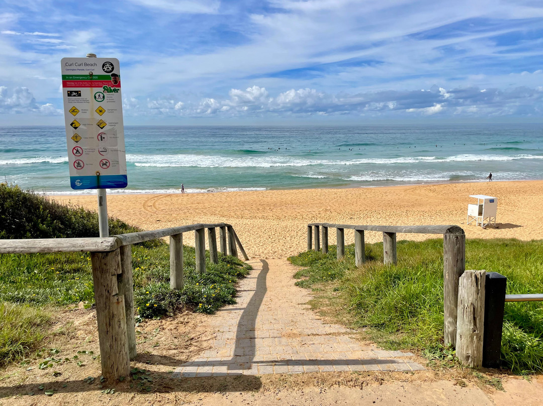 Curl Curl Beach-Curl Curl必去景点