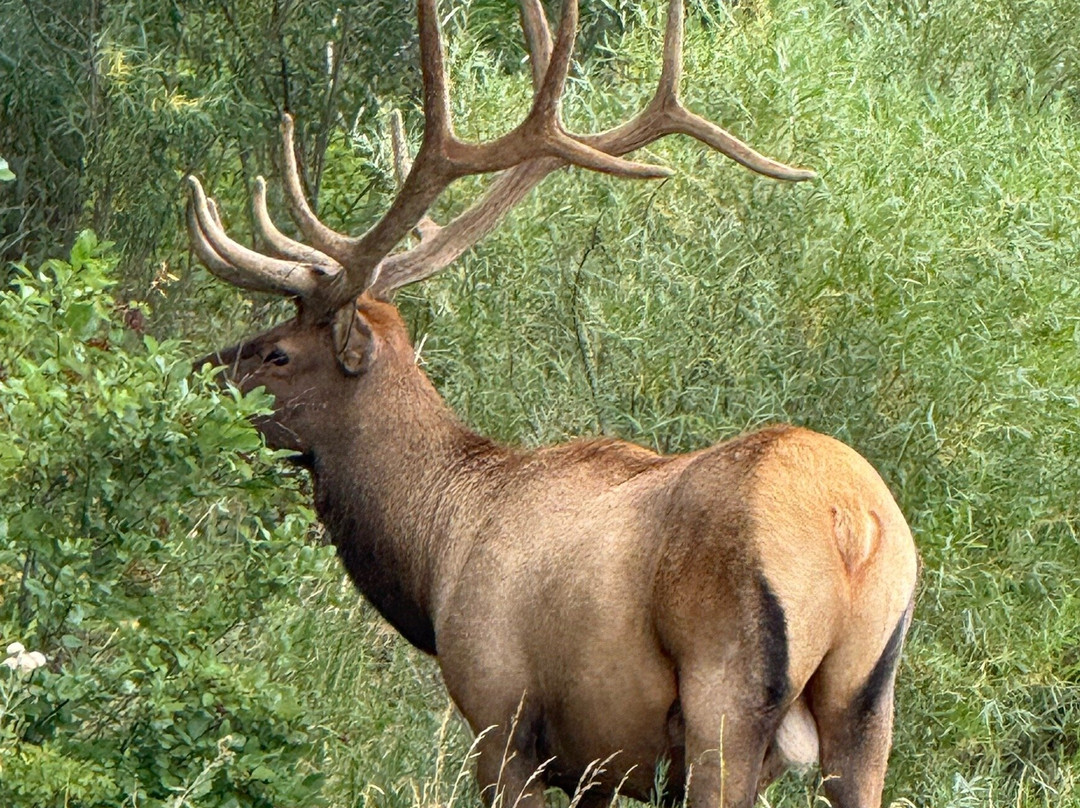 National Park Gateway Stables-埃斯蒂斯公园必去景点