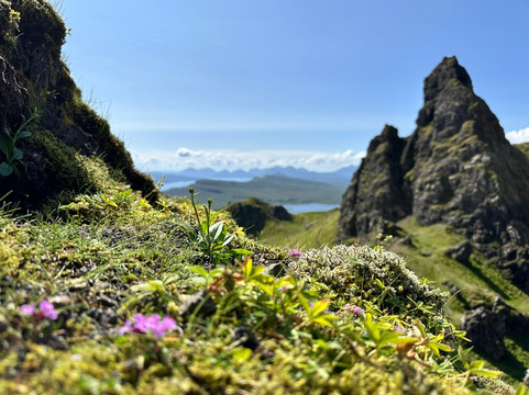 Wild N Happy-都柏林必去景点