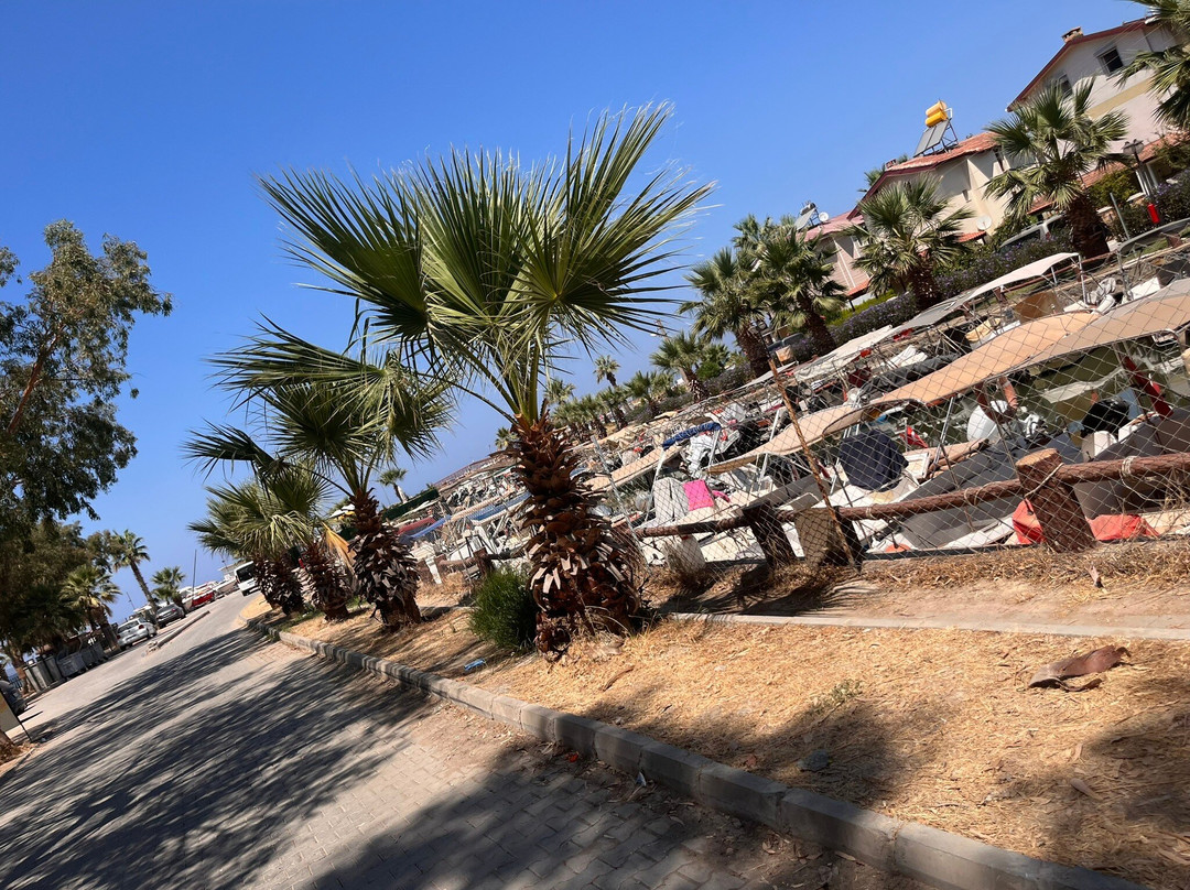 Sevgi Plajı-Davutlar必去景点