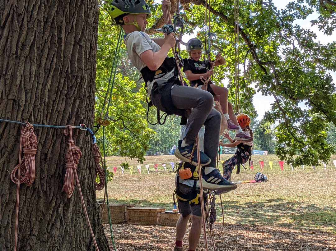 Goodleaf Tree Climbing-赖德必去景点