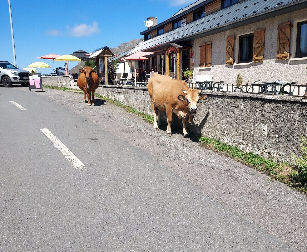 La Grange Hotel主图