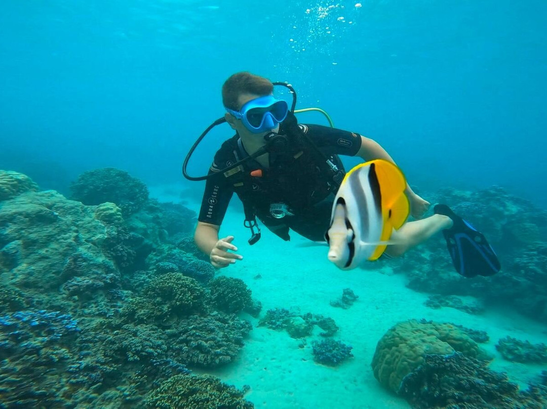 Mahana Dive-Fare必去景点