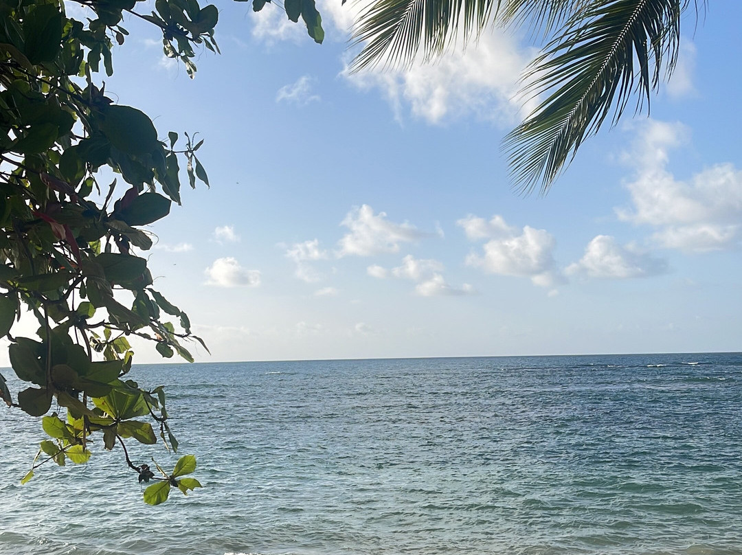 Xeliter Balcones del Atlantico - Las Terrenas主图