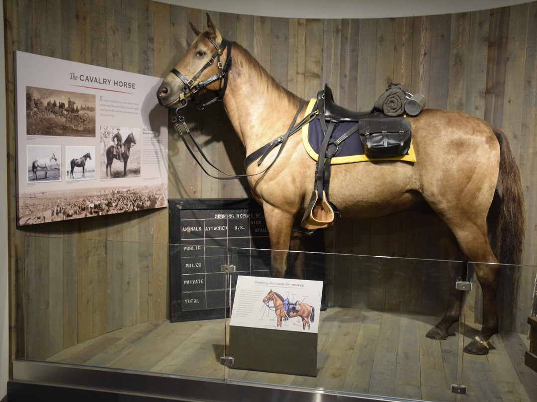 US Cavalry Museum-Fort Riley必去景点