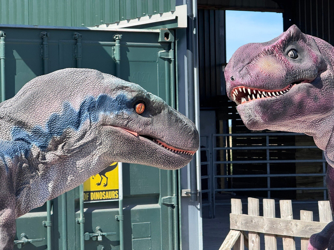 Farmer Teds Adventure Farm-Ormskirk必去景点