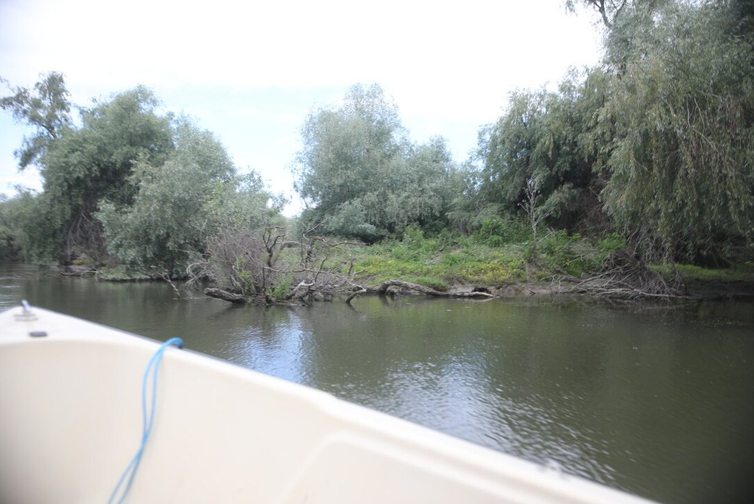 Caraorman Forest-Crisan必去景点