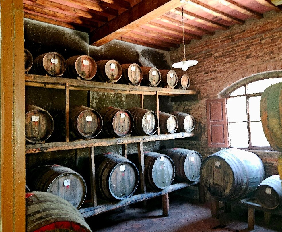 Fattoria Santa Vittoria-Foiano della Chiana必去景点