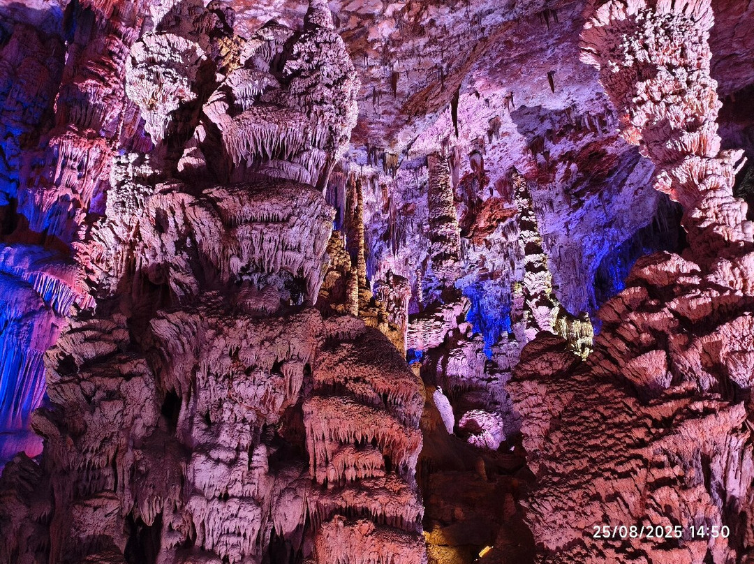 Grotte de la Salamandre-Mejannes-le-Clap必去景点