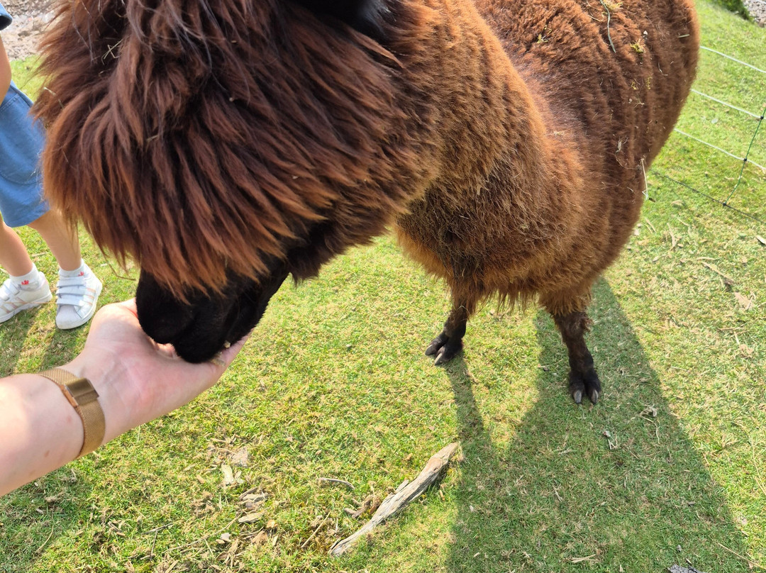 Ferme Jean Des Houx-Sapois必去景点