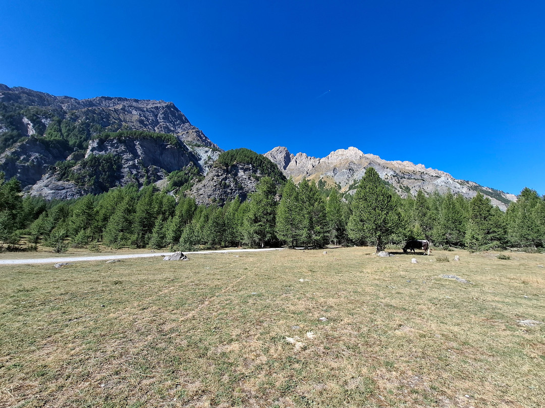 Escursioni Motoslitte-Sauze di Cesana必去景点