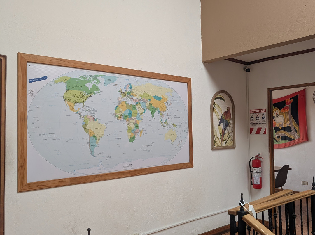 Tico Lingo-爱雷迪雅必去景点