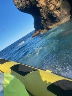 Ribsafari-韦斯特曼纳群岛必去景点