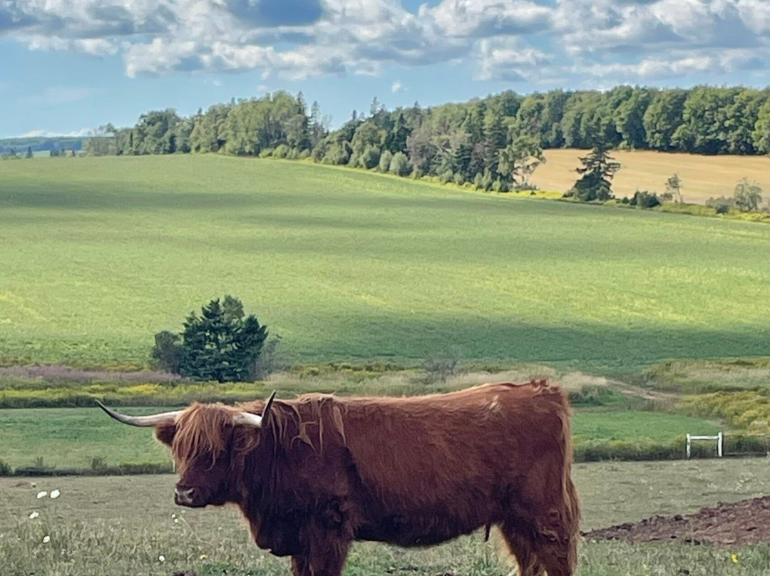 Island Hill Farm Inc-Hampshire必去景点