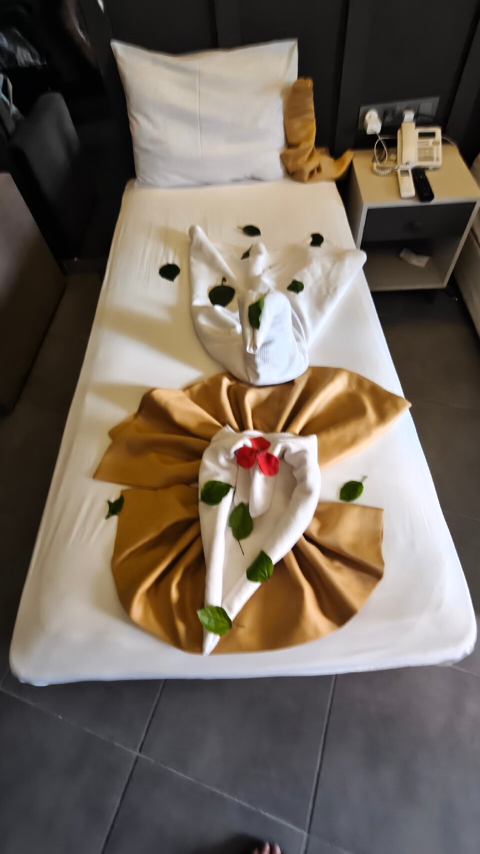 Blue Star Hotel-官方