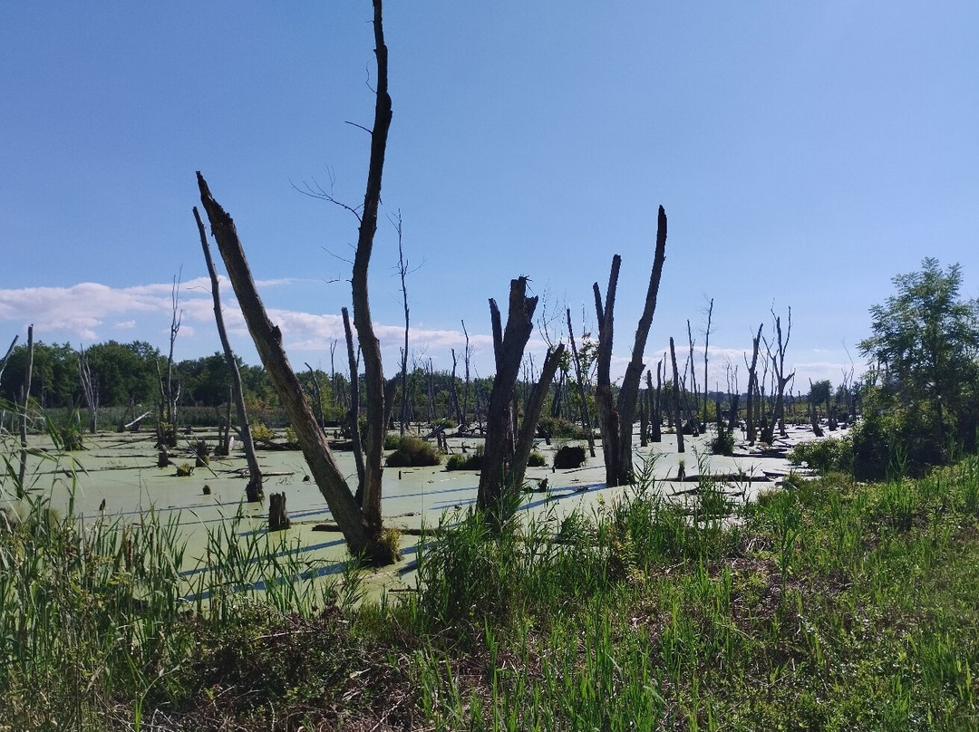 Indiana Dunes National Park-Porter必去景点