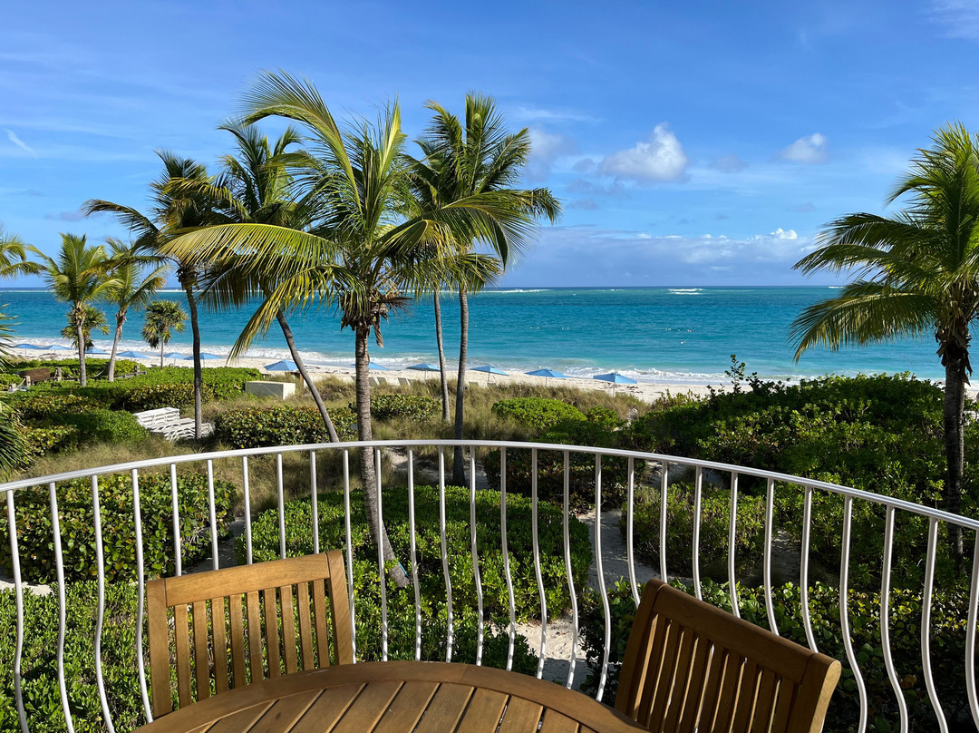 文艺复兴别墅主图