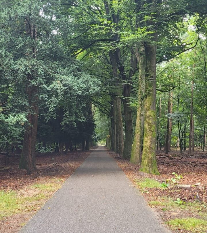 De Hoge Veluwe National Park-Gelderland Province必去景点