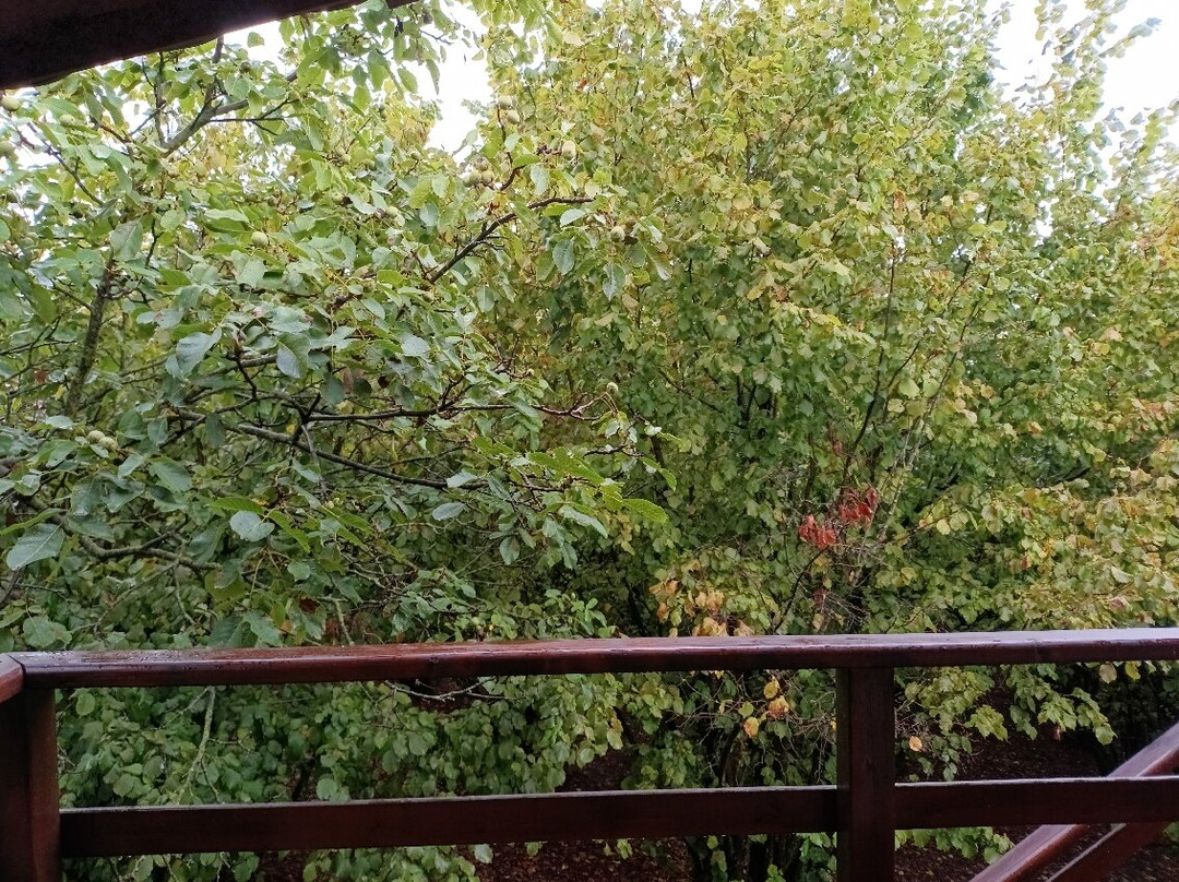 Eco Lodge Langhe主图
