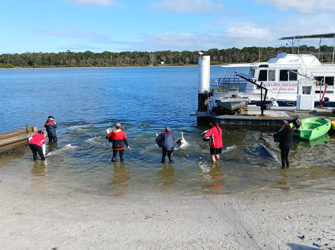 Barnacles Dolphin Centre-Tin Can Bay必去景点